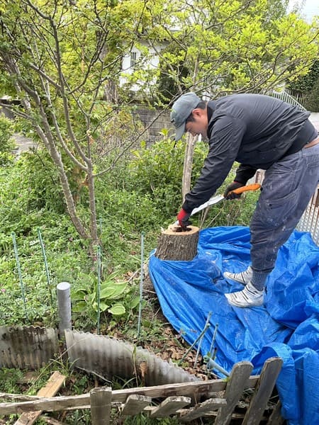 東京都八王子市_伐採_幹の解体