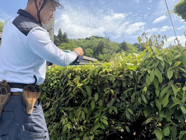 東京都八王子市_植栽剪定_作業中