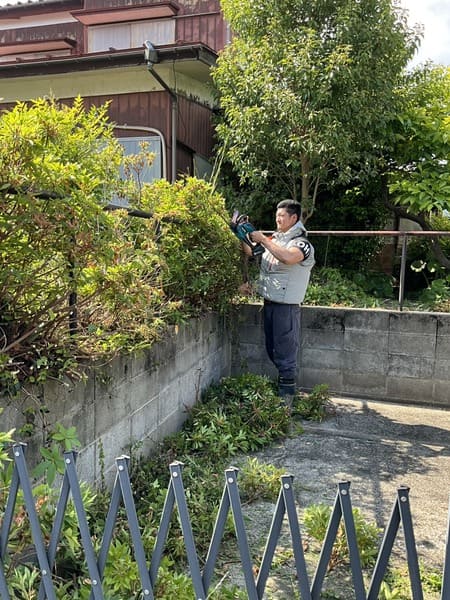 東京都八王子市_剪定_作業中