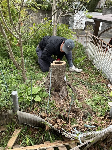 東京都八王子市_伐採_根の撤去の準備