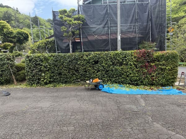 東京都八王子市_植栽剪定_片付け