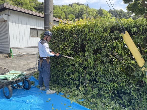 東京都八王子市_植栽剪定_作業中