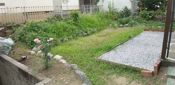 東京都八王子市_伸びきった草