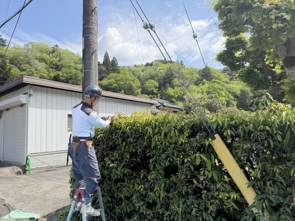 東京都八王子市_植栽剪定_作業中