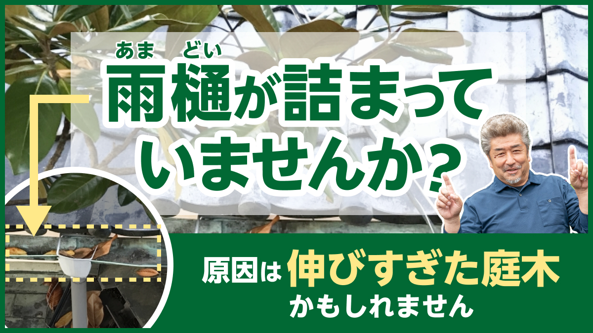 雨樋が詰まっていませんか?
