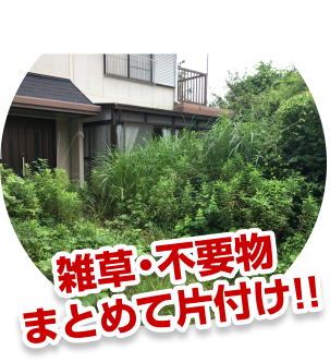 雑草・不要物まとめて片付け!