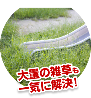 大量の雑草も一気に解決!