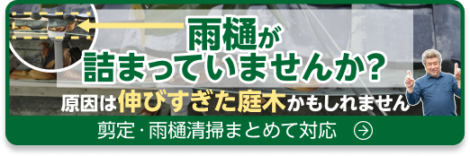 雨樋詰まってませんか?原因は伸びすぎた庭木かもしれません