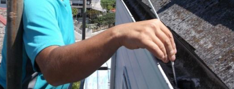 雨樋の中を掃除しているスタッフ