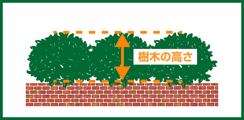 樹木の高さ