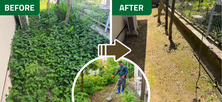 BeforeAfter
