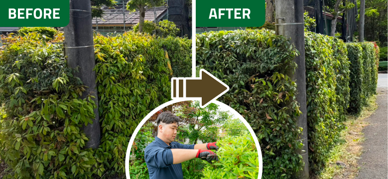 BeforeAfter