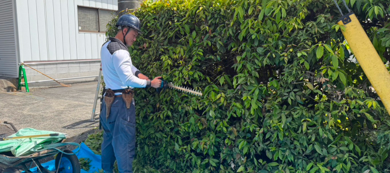 植木の草刈りをしている男性スタッフ