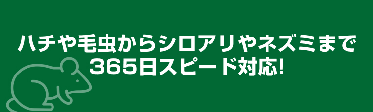 ハチや毛虫からシロアリやネズミまで365日スピード対応!