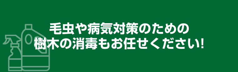 毛虫や病気対策のための樹木の消毒もお任せください!
