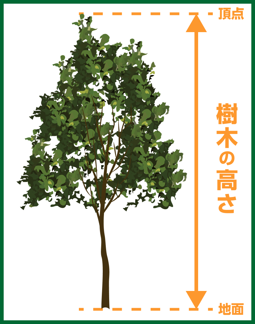 樹木の高さを表すイラスト