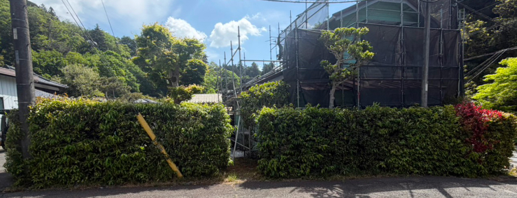植木に囲まれたお家
