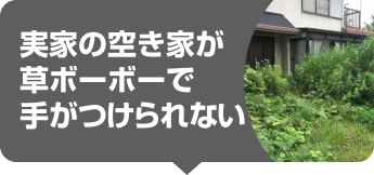 実家の空き家が草ボーボーで手がつけられない