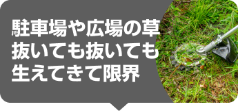 駐車場や広場の草、抜いても抜いても生えてきて限界