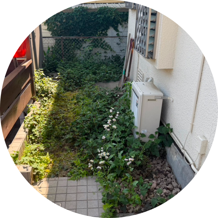 雑草ででいっぱいに埋もれたお庭